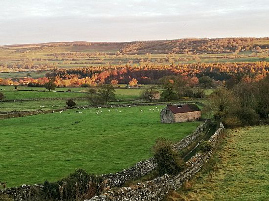 autumn west witton morning, by roddy mackay, the old vicarage b&b